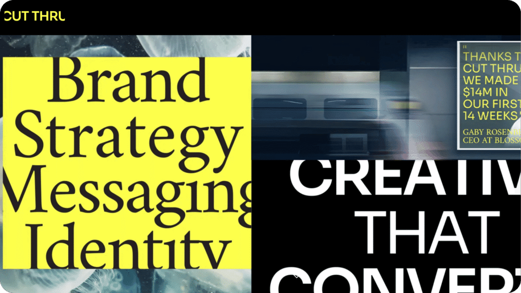 Cut Thru Agency